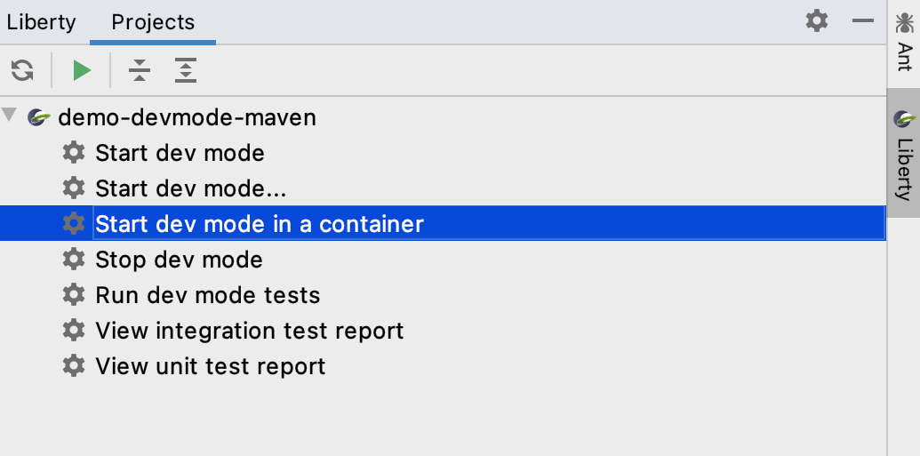 Liberty_start_dev_mode_container.png