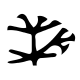 proto-language