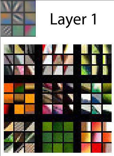 layer1.png