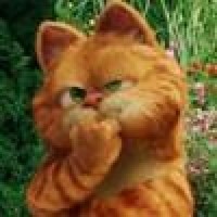 fatcat22