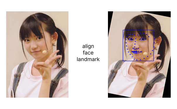 align-face.png