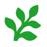 Avatar for fern-api, owner of fern-api/fern