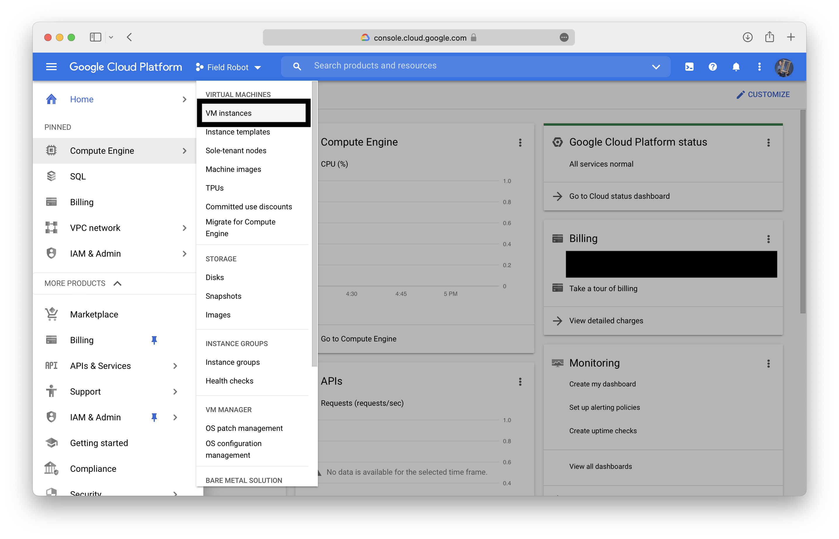 Google Cloud VM Instances
