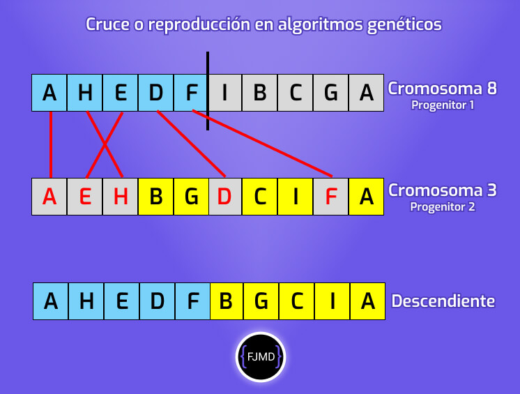Cruce o reproducción en algoritmo genético