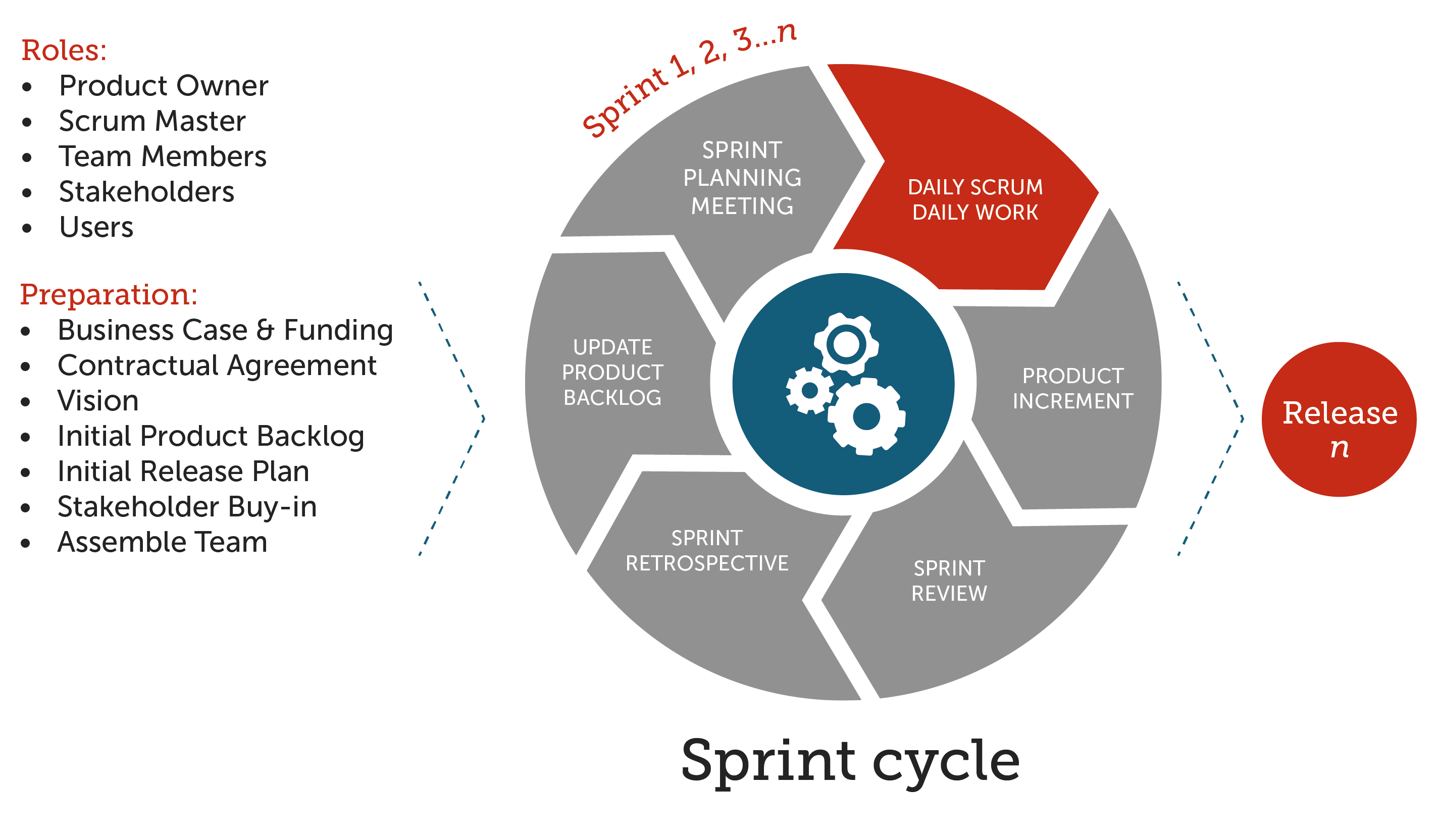 the-daily-scrum-in-the-sprint-cycle.png