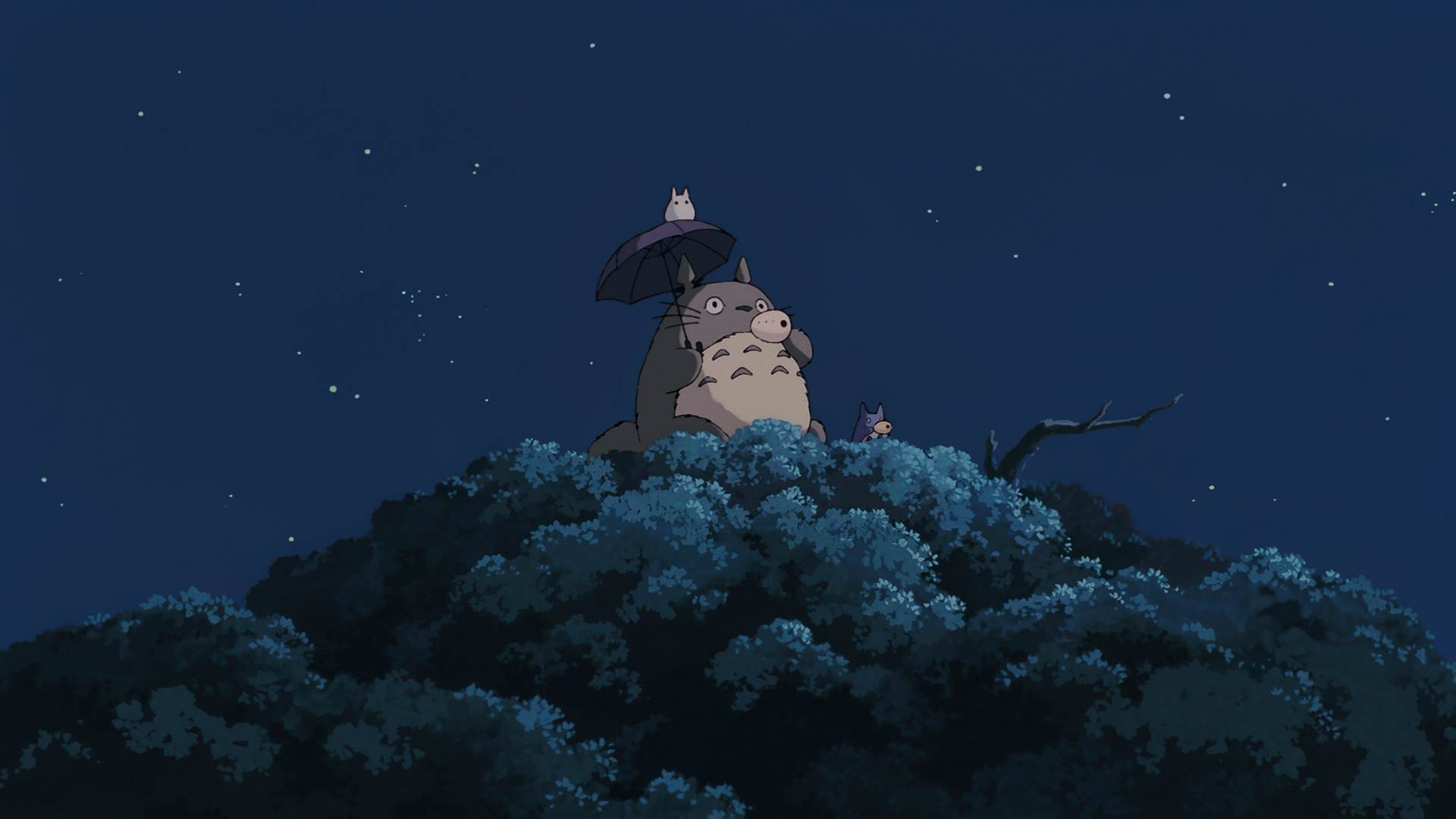 totoro_night.png