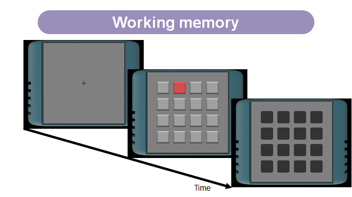 workingmemory.png