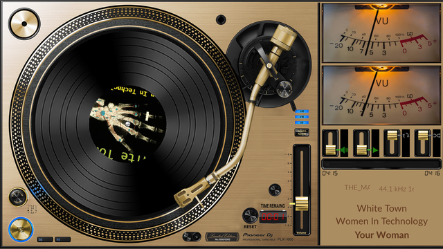 A turntable skin
