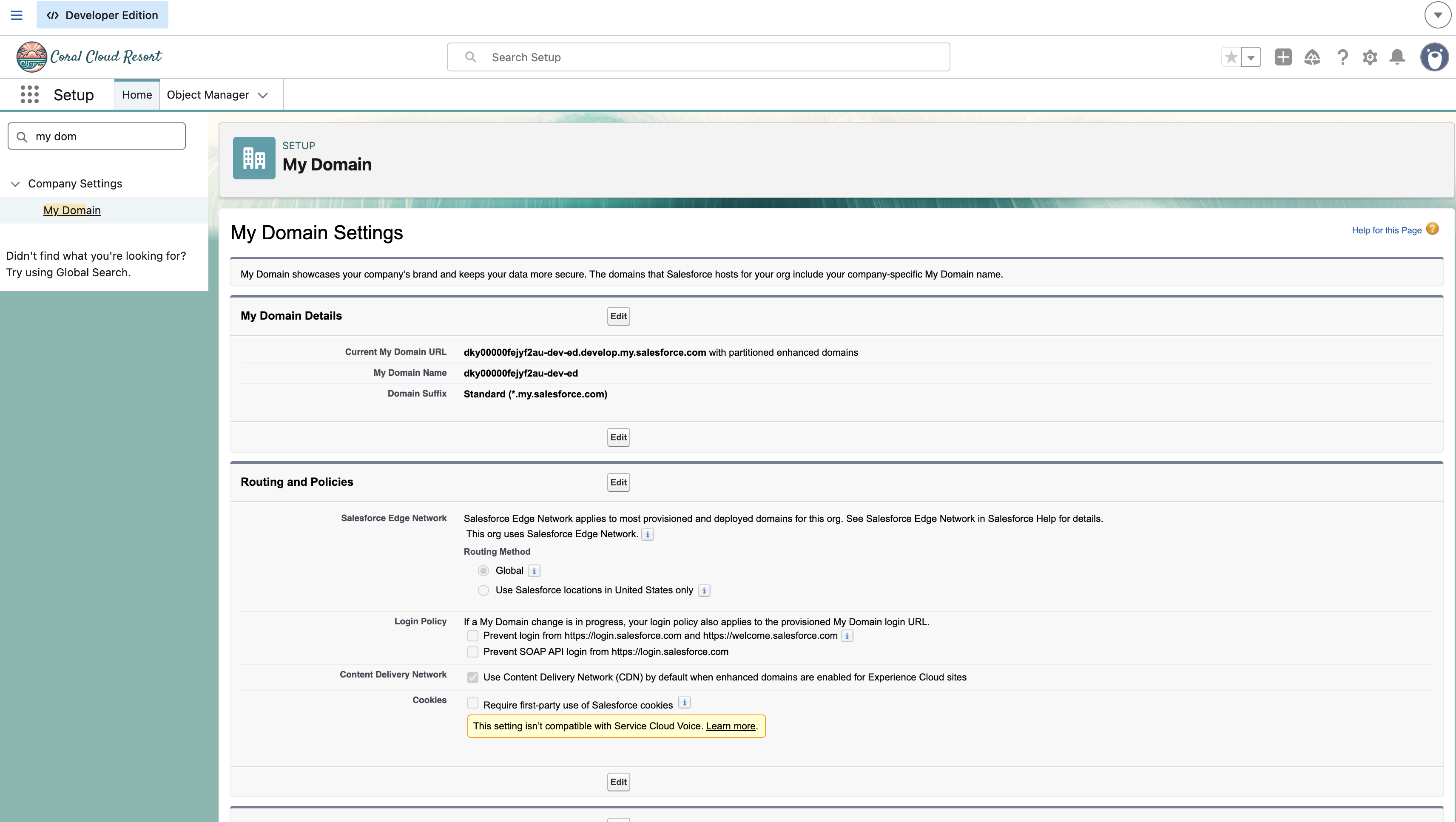 My Domain in a Developer Edition org
