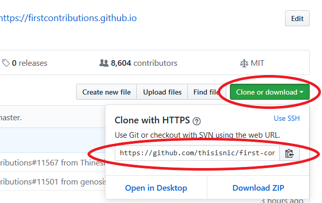 rstudio-gh-clone.png