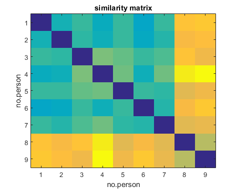Figure 17: Similarity matrix of 9 persons.