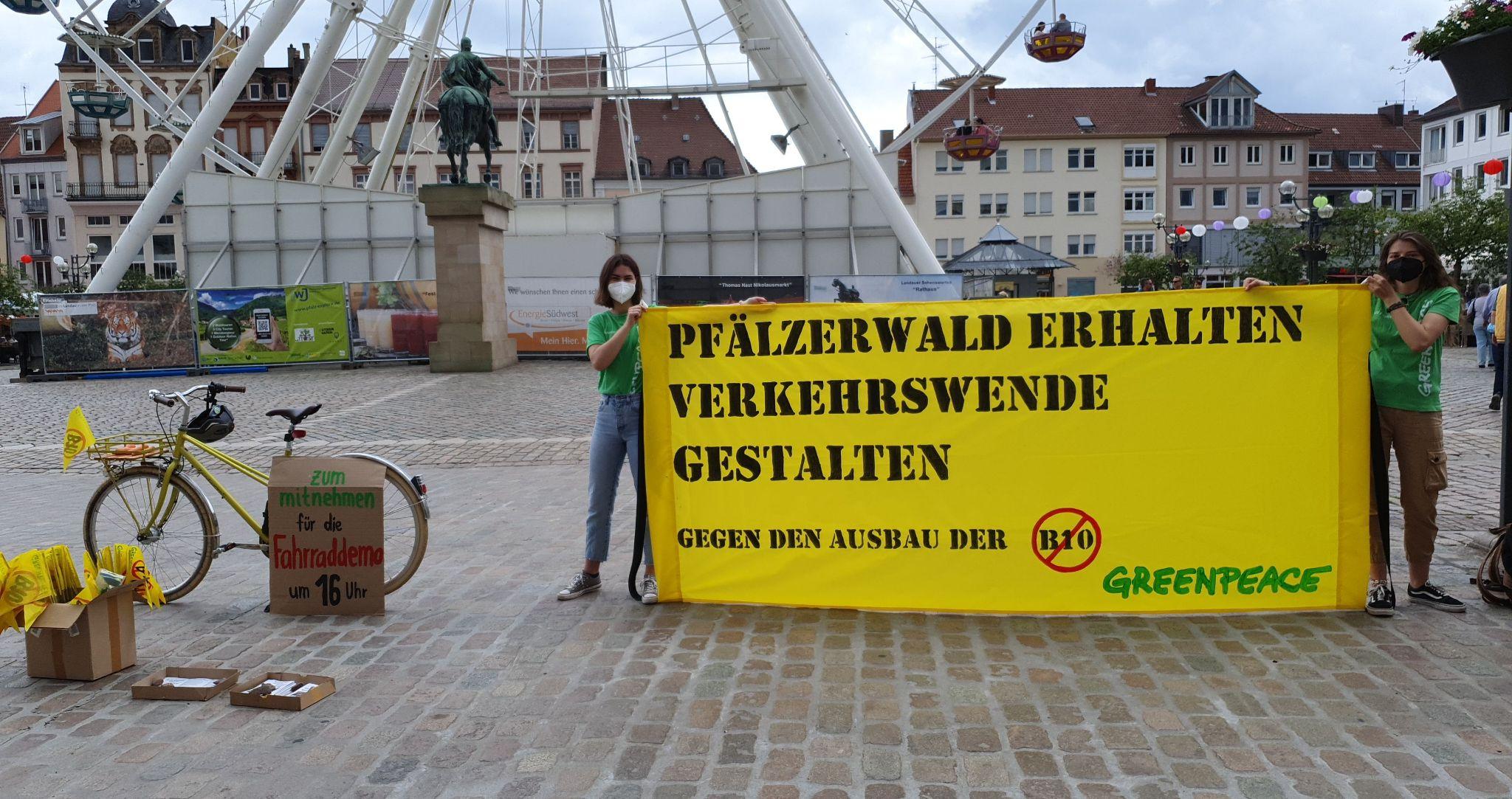 Greenpeace Banner