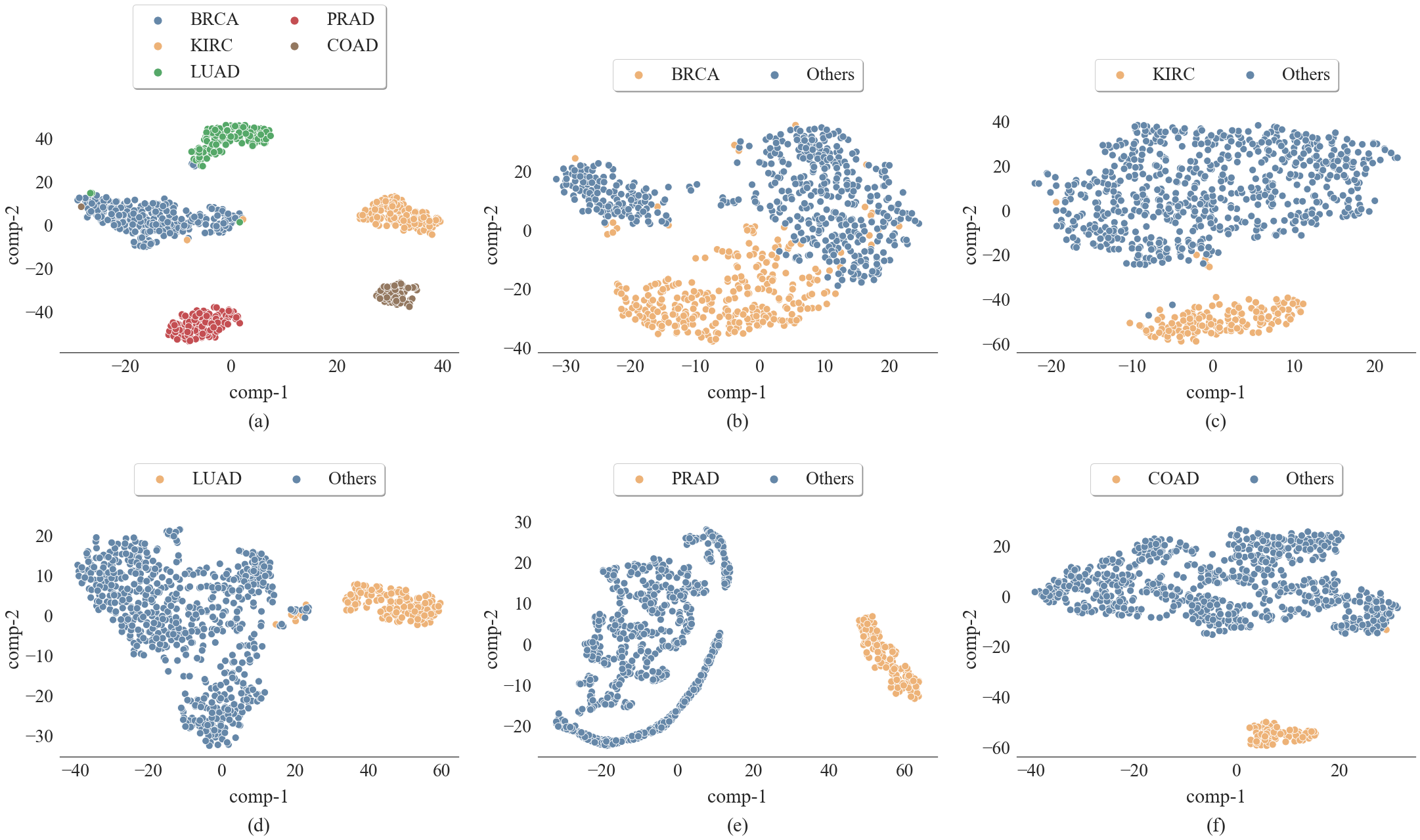 tsne.png