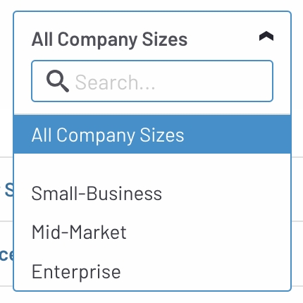 Filter by company segments