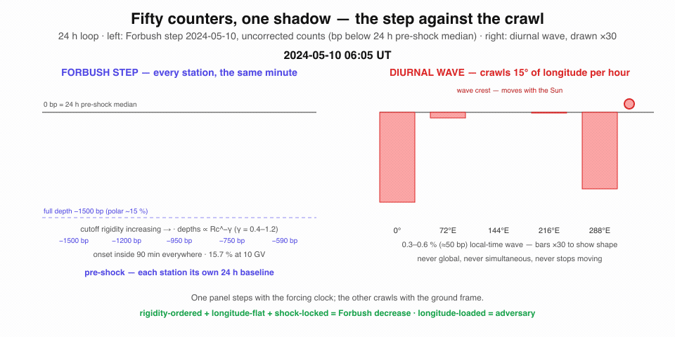 Animation of the discriminating shape: station deviations from crucible positives collapsing onto the rigidity ordering while the adversary panel's deviations stay loaded on the longitude and pressure axes