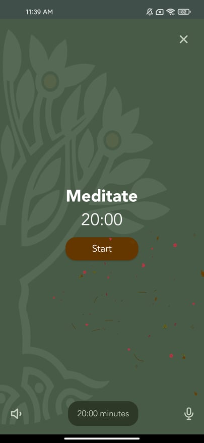 6.meditate.jpg