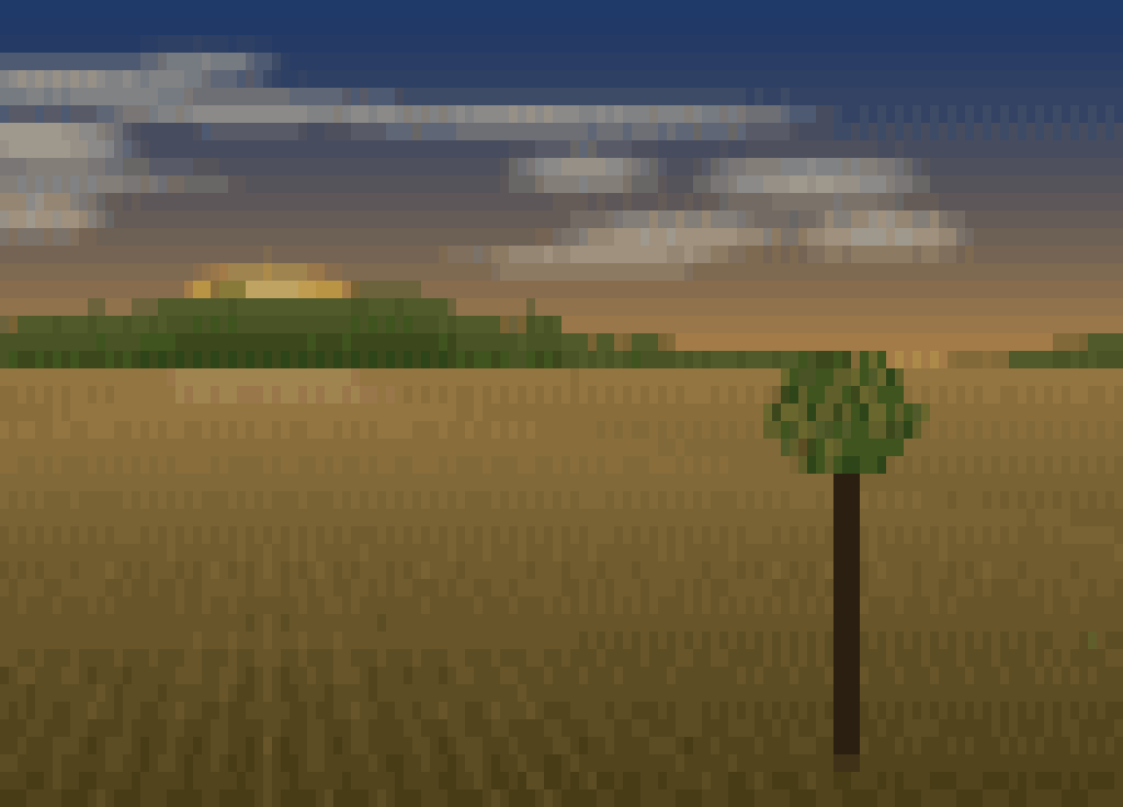 Open field