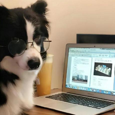 Horoscope GitHub avatar