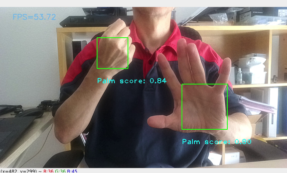 palm_detection.png