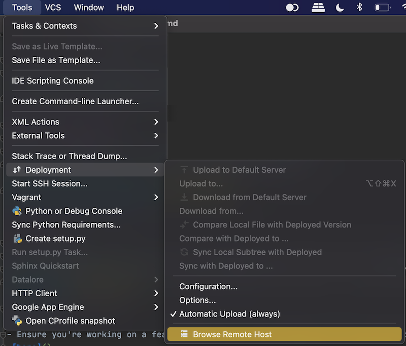 Browsing the Remote Host