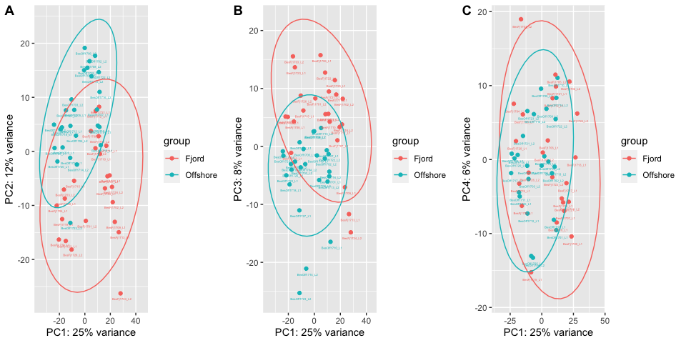 PCA plots-1.png