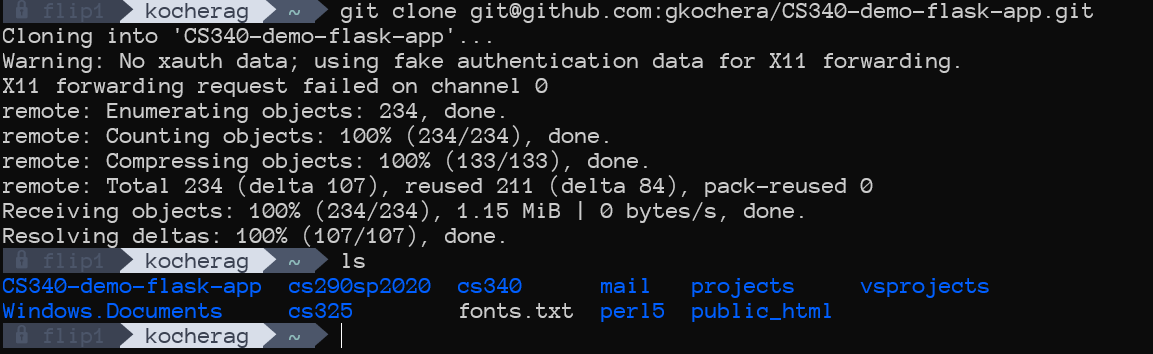 git_clone_with_ls_flip.png