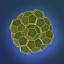 glotzerlab
