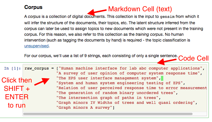 jupyter_execute_cell.png