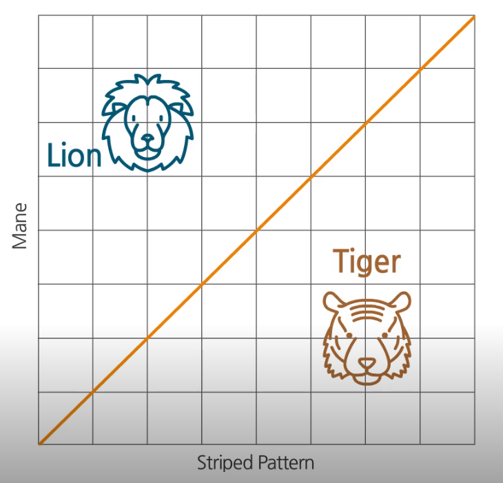 lion_tiger_feature.png
