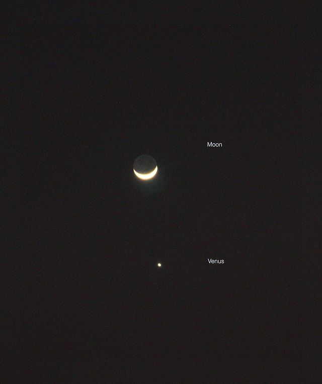 Moon x Venus
