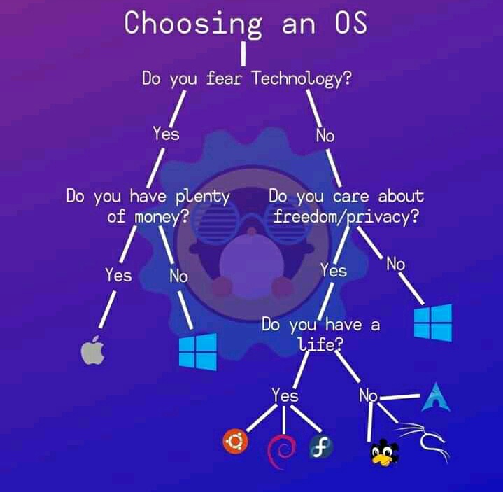 Choosing OS.JPG
