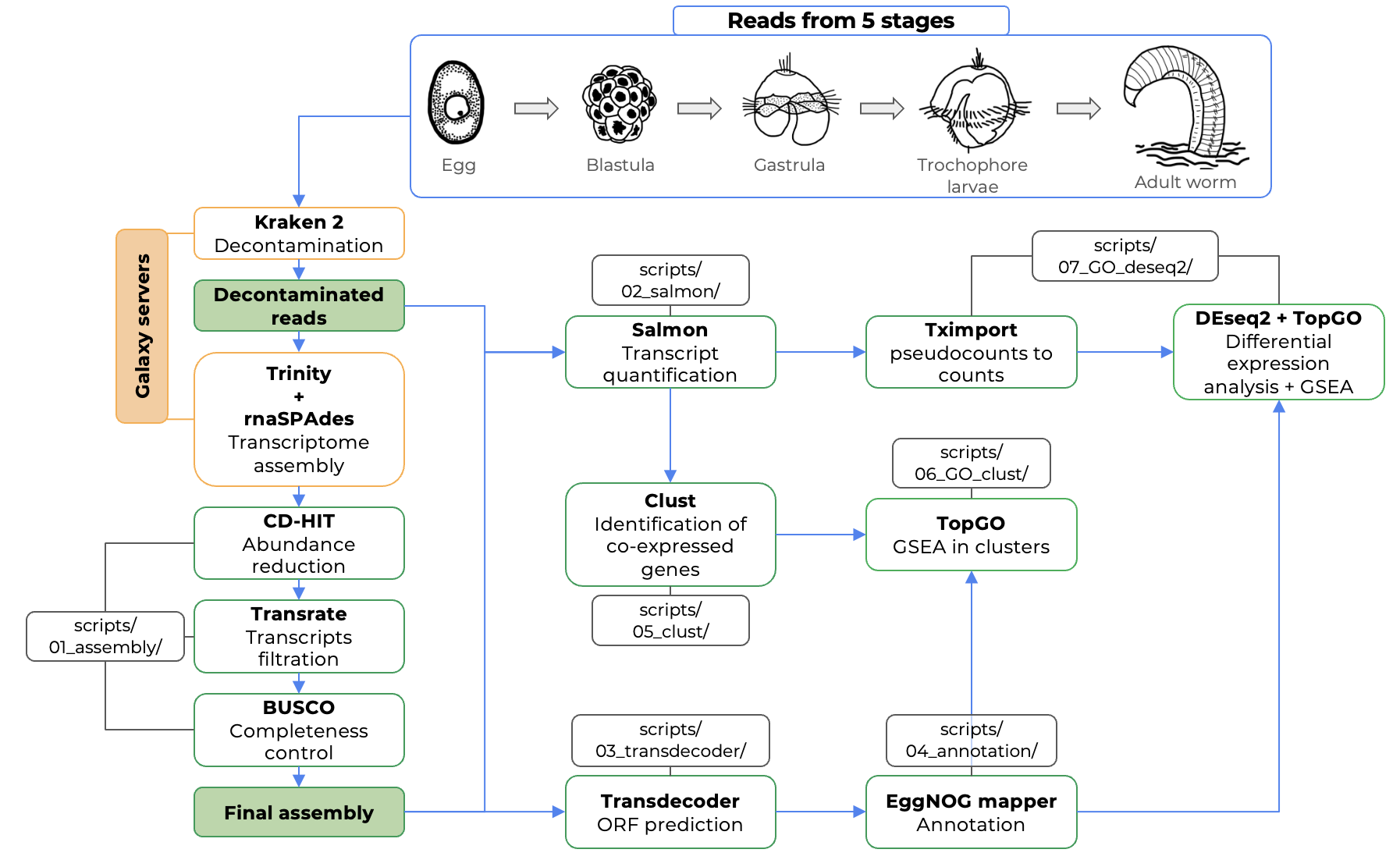 workflow_light.png