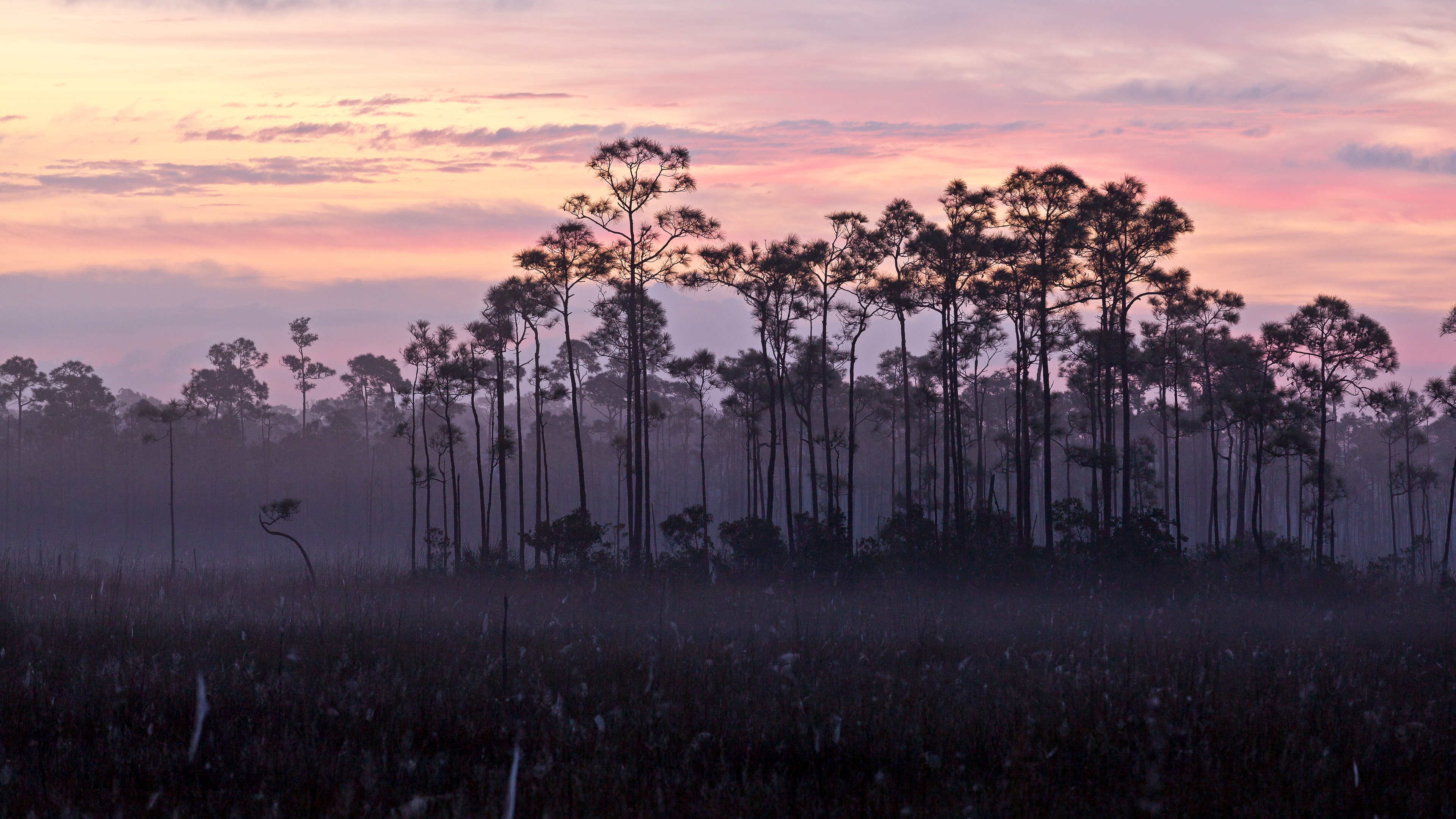 bing_2024-05-30_OHR.Everglades90th_ZH-CN9853372570_UHD.jpg