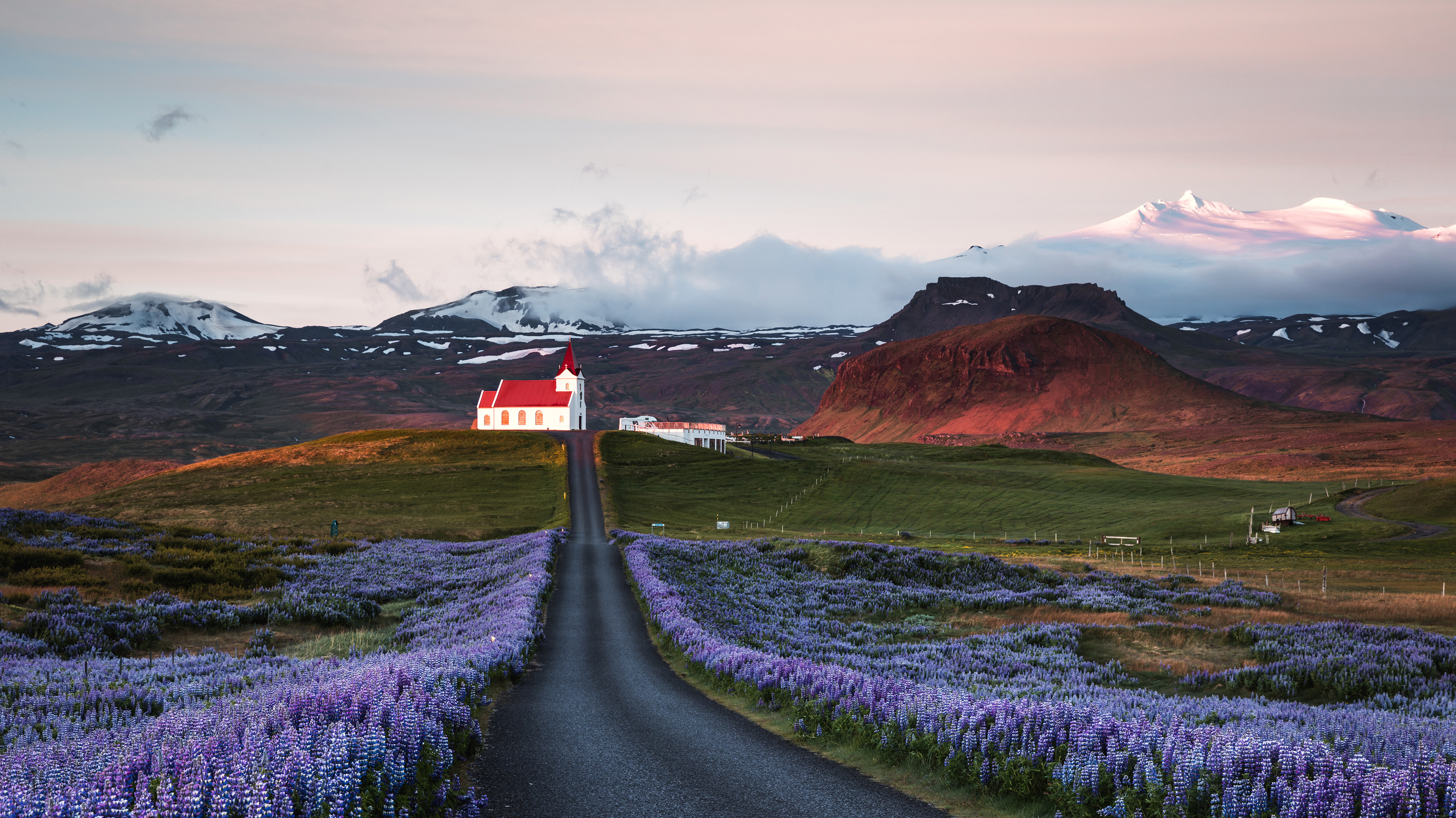 bing_2024-06-18_OHR.LupinIceland_ZH-CN5329147708_UHD.jpg