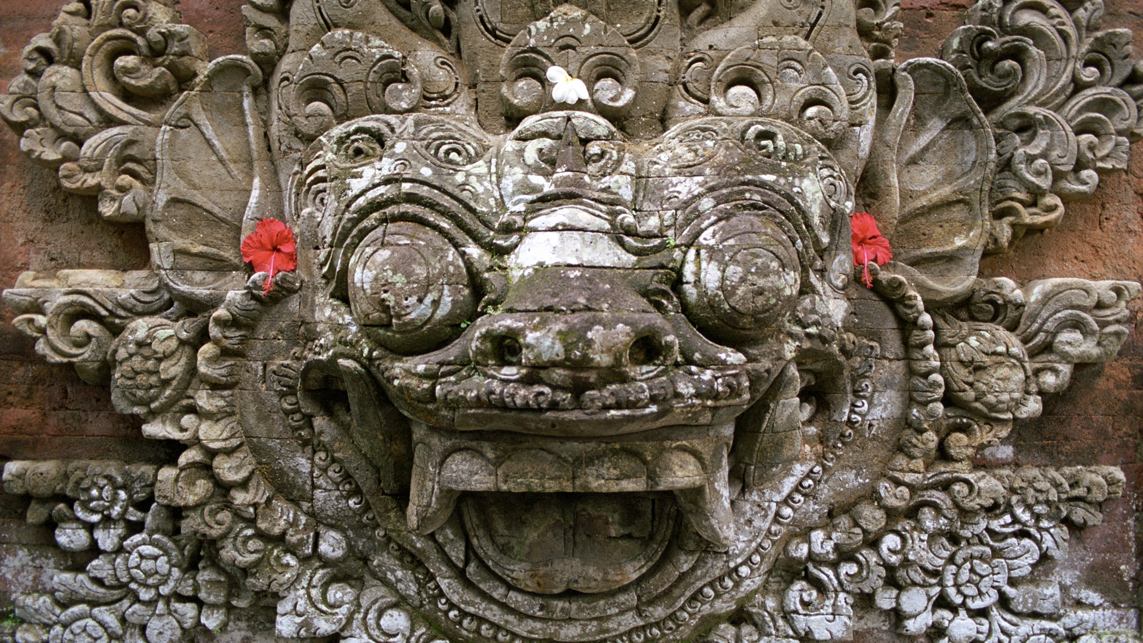 bing_2024-06-30_OHR.UbudBali_ZH-CN4891348277_UHD.jpg