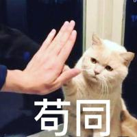 haiifeng