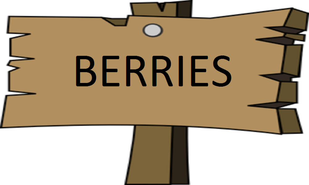 BERRIES.png