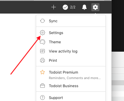 TodoistSettings