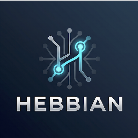 hebbianvault