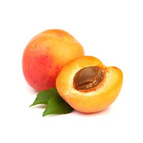 apricot_6.png