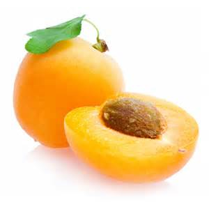 apricot_7.png