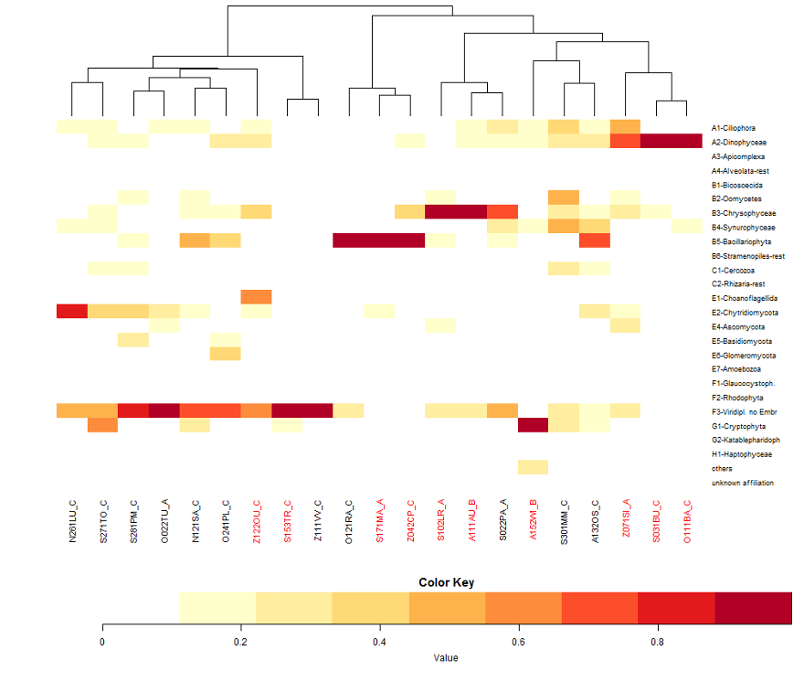 heatmap_dedrogram.png