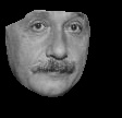 einstein_morph_removed5.jpg