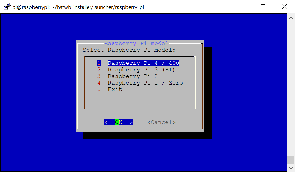 Select Raspberry Pi model
