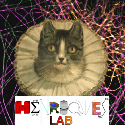 henriqueslab