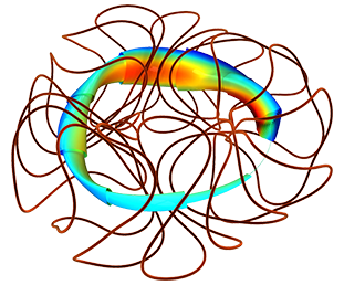 coils_and_surfaces.png