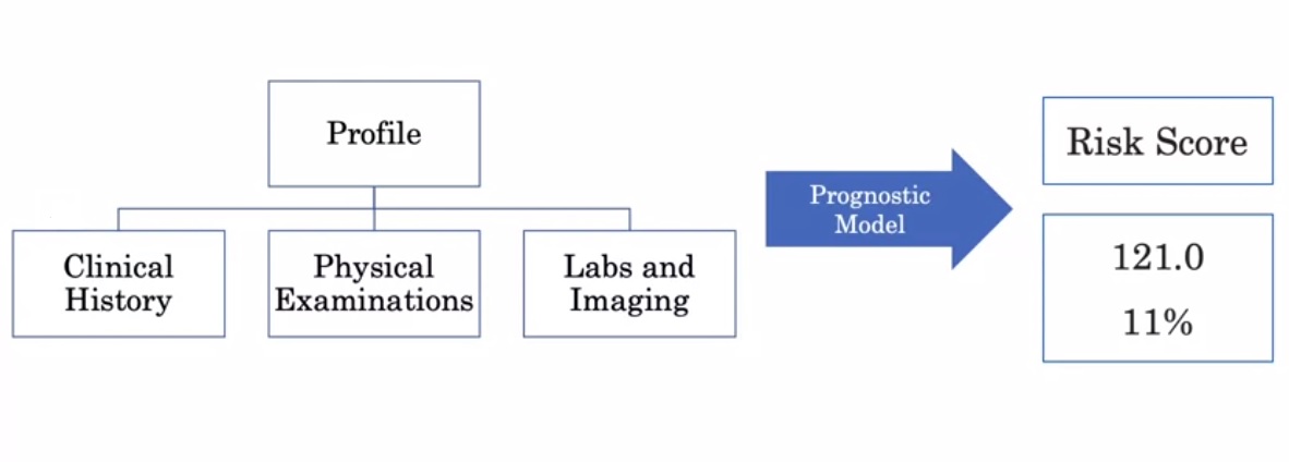 prognostic_model.jpg