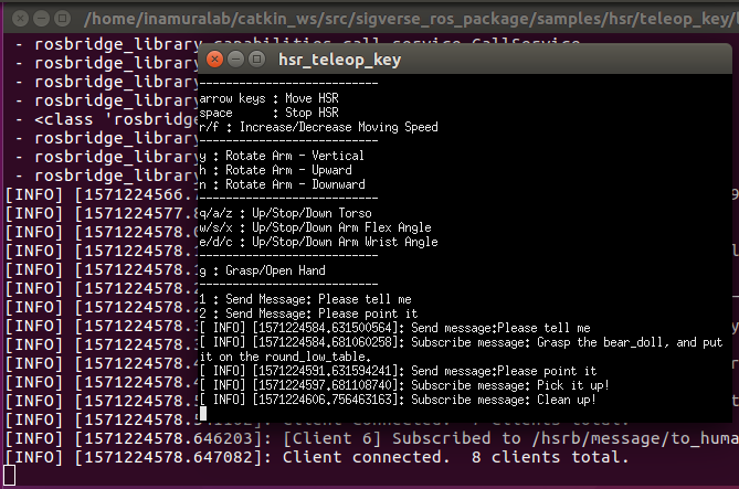 HSRCleanupUbuntu