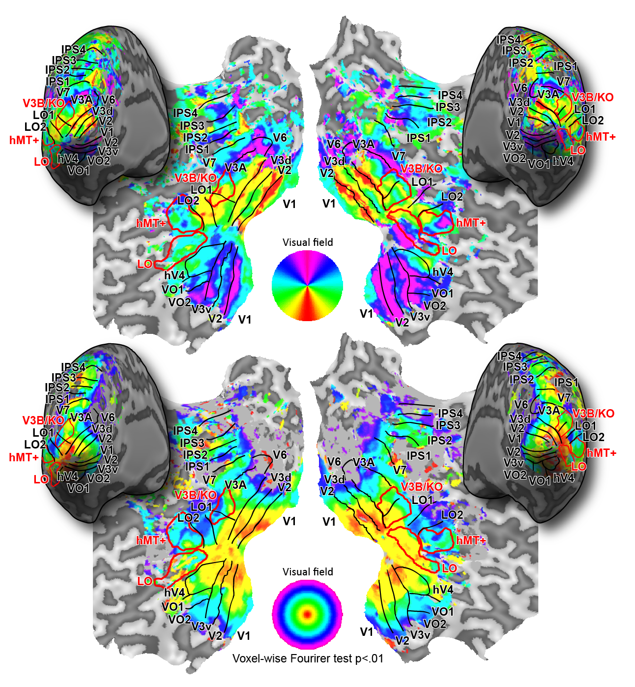 00_Retinotopy_mapping.png