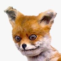 holyfuchs